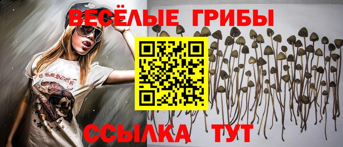 Азнакаево  Псилоцибиновые грибы GOLDEN TEACHER  Вход с VPN 