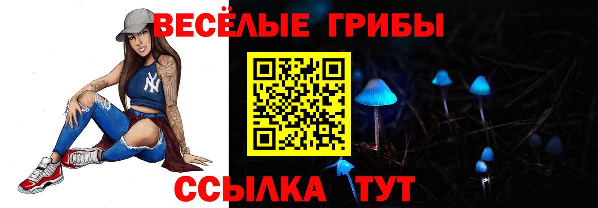 Галлюциногенные грибы Psilocybine cubensis Азнакаево